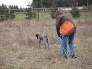 Bugs, Fall 2010training